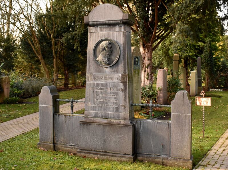 ملف:2021-01-25 Ferdinand Callin 02.JPG