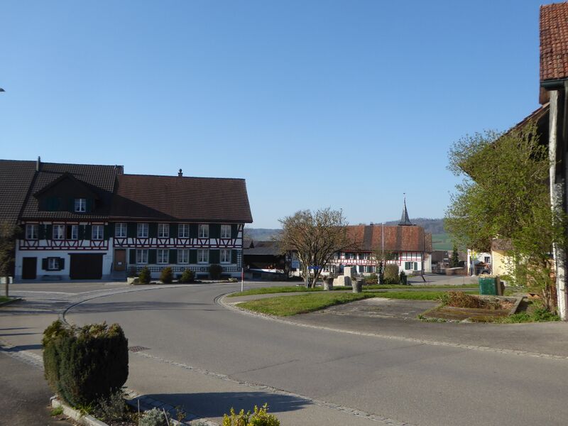 ملف:Buch bei Frauenfeld.jpg