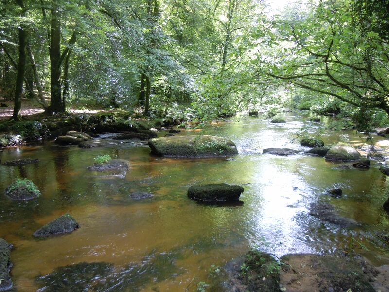 ملف:Rivière Pontcallec.JPG