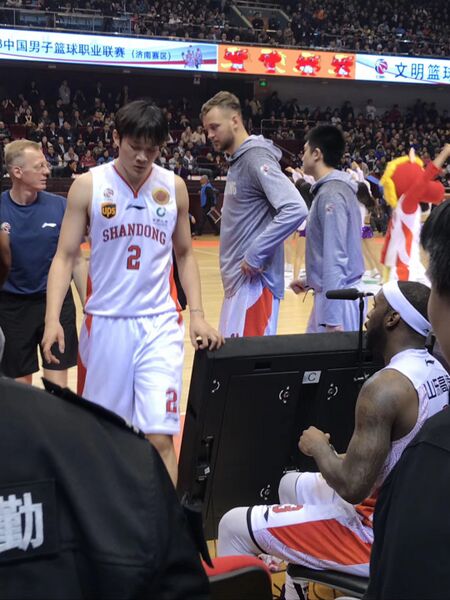 ملف:Ding Yanyuhang.jpg