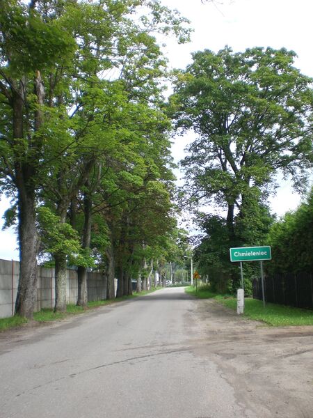 ملف:Chmieleniec.jpg