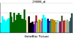 PBB GE HR 210086 at tn.png