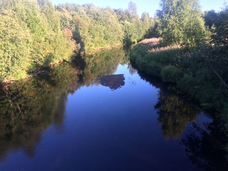 ملف:Сума (приток Водлы) 3.jpg