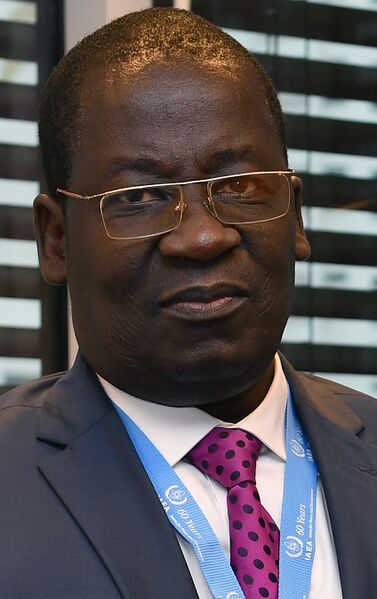 ملف:Alassane Seidou (cropped).jpg
