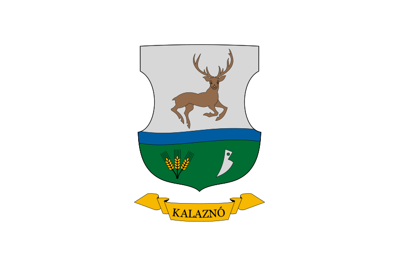 ملف:Flag of Kalaznó.svg