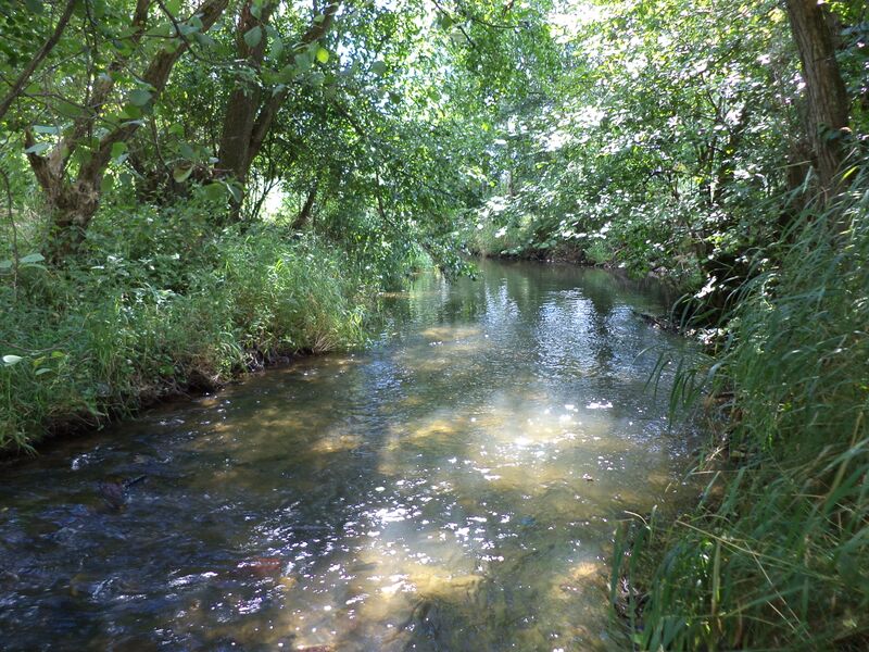 ملف:Reichenbach (Bracht).JPG