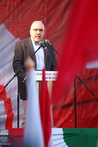 ملف:Bokros Lajos 2013.JPG