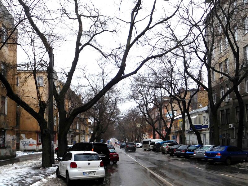 ملف:Troitska Street, Odessa.jpg