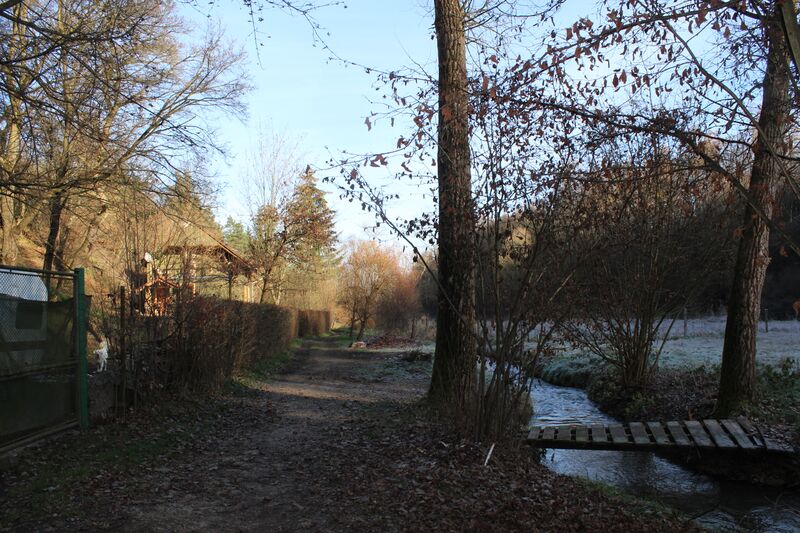 ملف:265 Bělečský potok.JPG