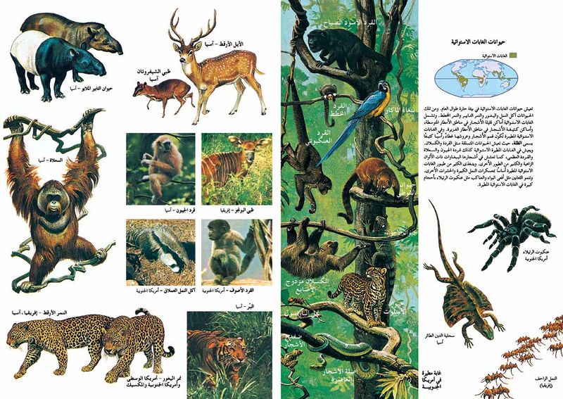 ملف:Animalshotwetherpic1.jpg