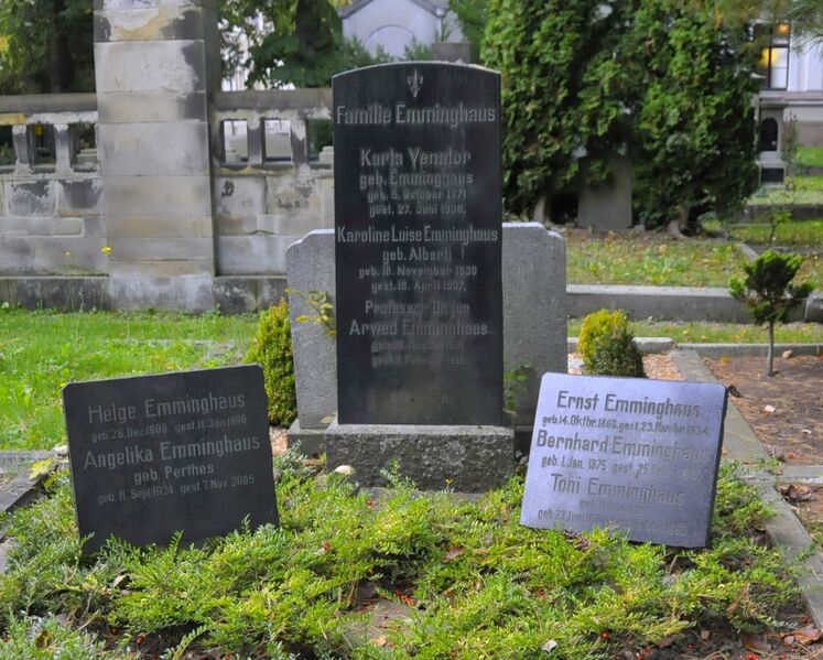 ملف:Arwed Emminghaus-CTH.JPG