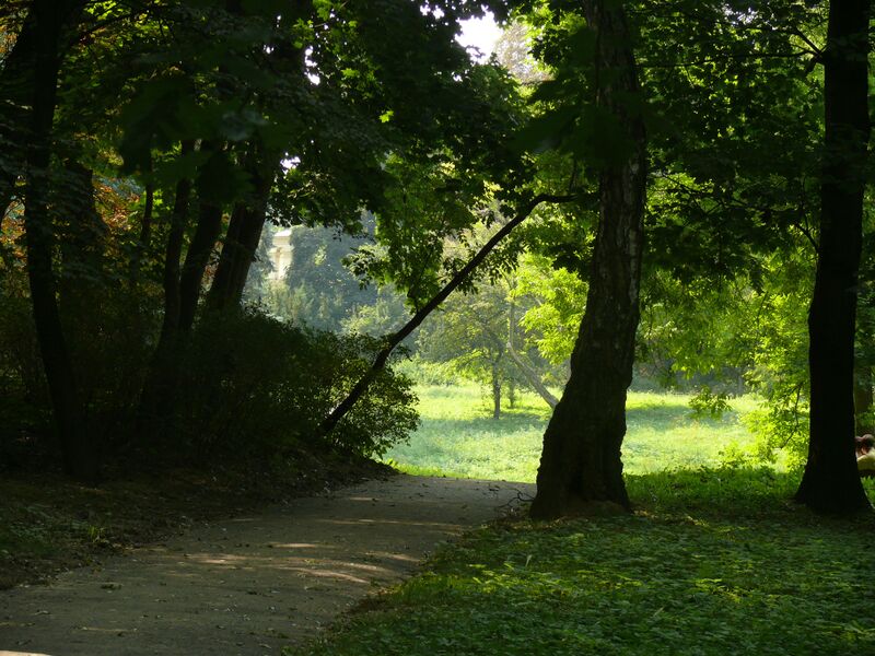 ملف:Ogród Saski w Lublinie.JPG