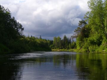 Unzha very beginning.jpg