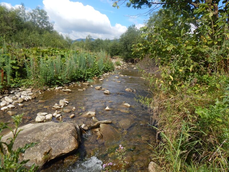 ملف:Річка Крушельниця, Сколівський район.jpg