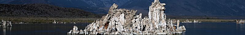 ملف:Banner Mono County.jpg