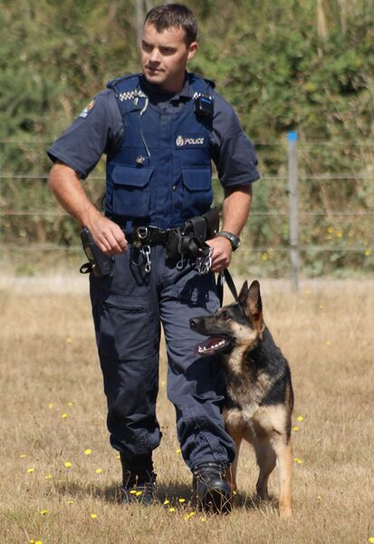 ملف:NZ Police Dog.jpg