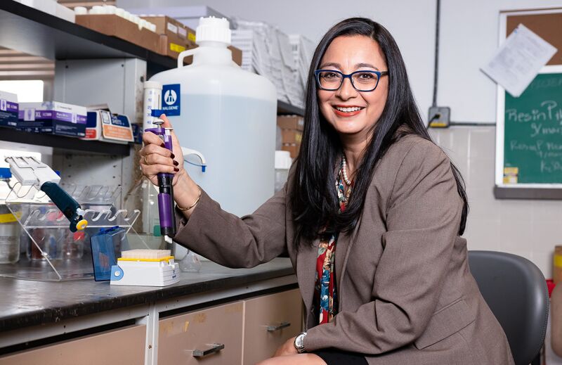 ملف:Oris Sanjur - 52782024428.jpg