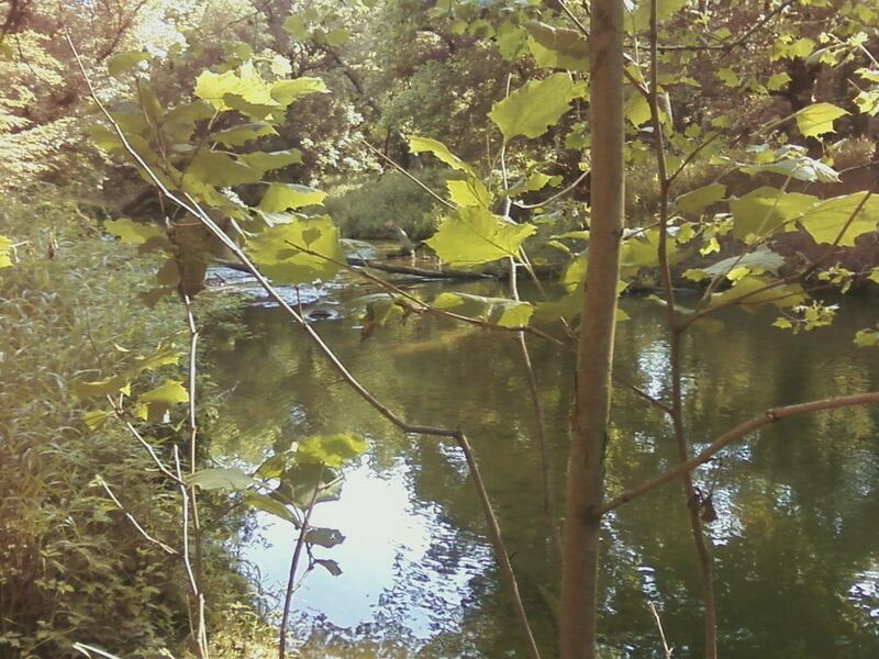 ملف:Seneca Creek Greenway.jpg