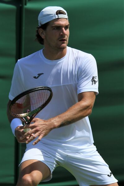 ملف:Seyboth Wild WMQ22 (14).jpg