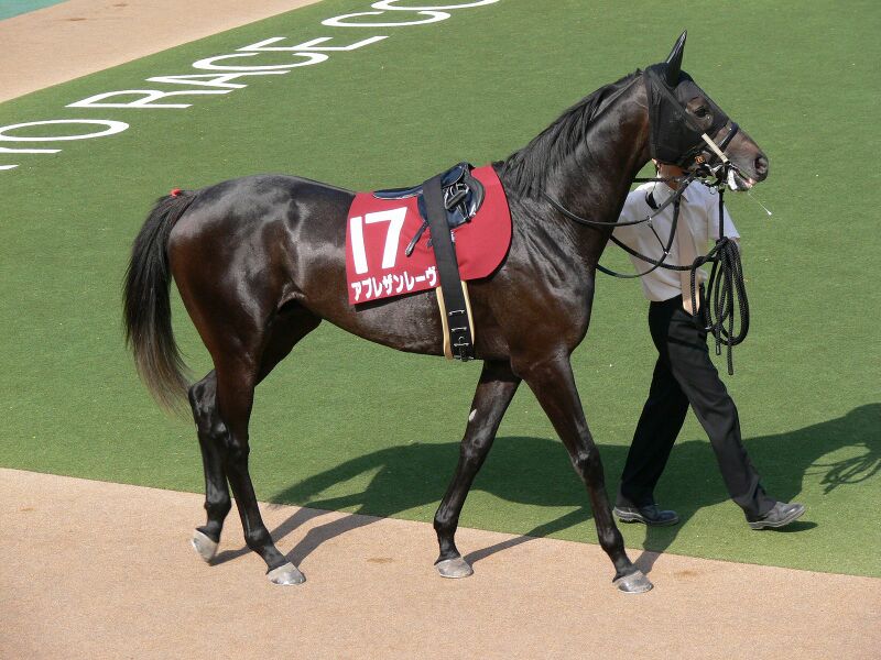 ملف:Apres-un-Reve 20090502tokyo11race.jpg