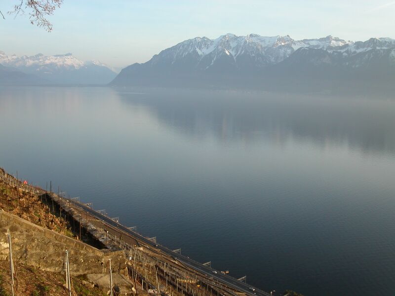 ملف:Lavaux+Léman 1.jpeg