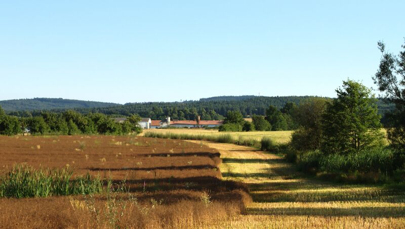 ملف:Mladějovice, pohled na obec.jpg