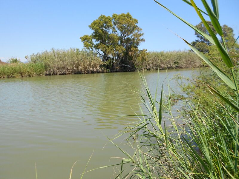 ملف:Río Guadalhorce 03.JPG