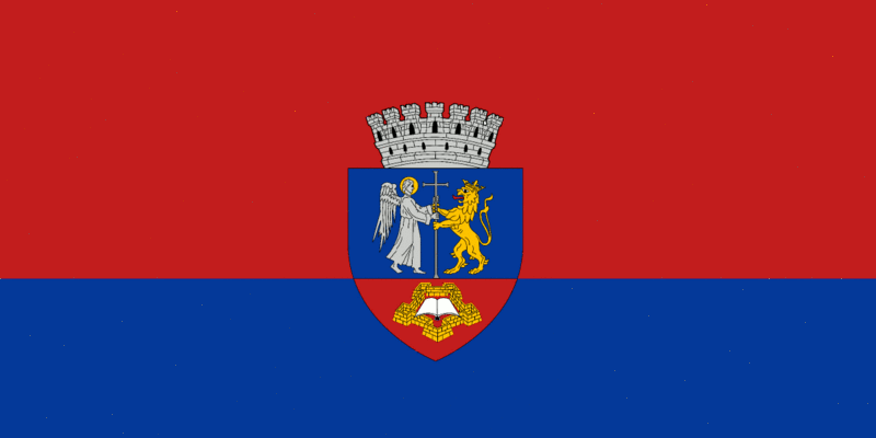ملف:ROU BH Oradea Flag.gif