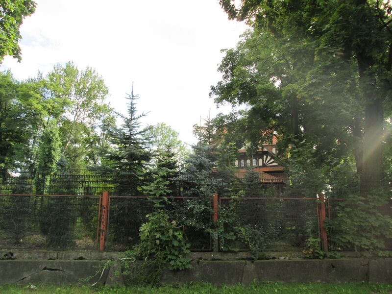 ملف:Sosnowiec, ogród, 1905 03.JPG