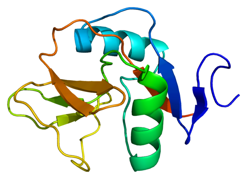 ملف:Protein CD69 PDB 1e87.png