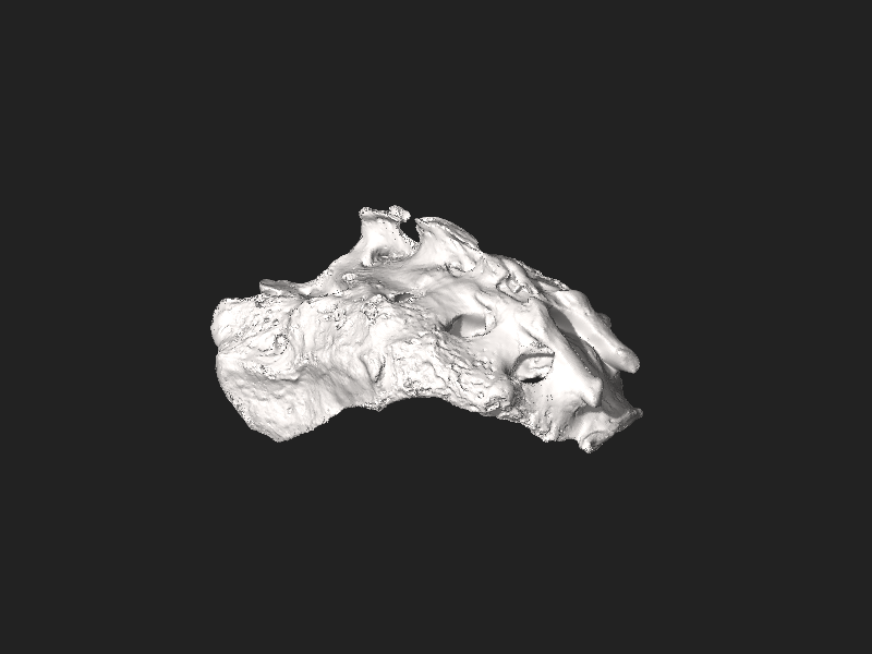 ملف:Sacrum (Filled Holes).stl