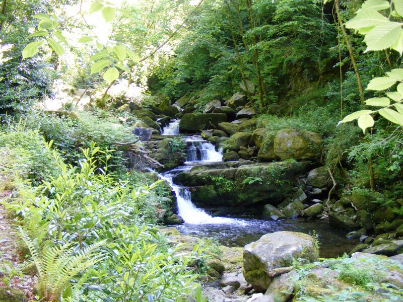 ملف:West Lyn River.JPG