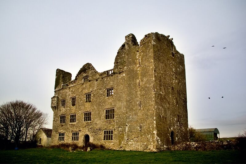 ملف:Lemaneagh Castle.jpg