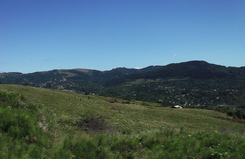 ملف:Talea 2021-e.jpg