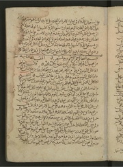 الصفحة التالية &larr;