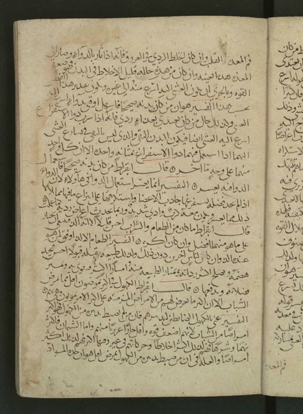 ملف:Commentary on Hippocrates' Aphorisms WDL4290.pdf