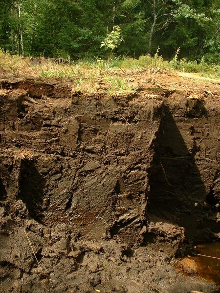 ملف:Peat artisanal exploitation2.jpg