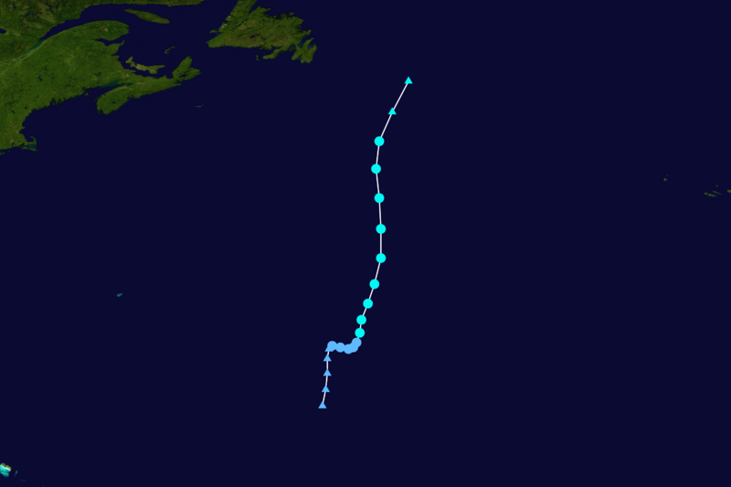 ملف:Rina 2017 track.png