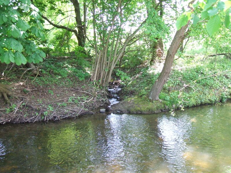 ملف:Usa Mündung Aitzbach 1.jpg