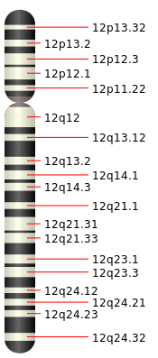 ملف:Chromosome 12.svg