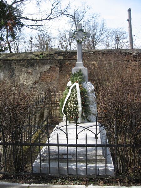 ملف:Conacul din Soleşti15.jpg