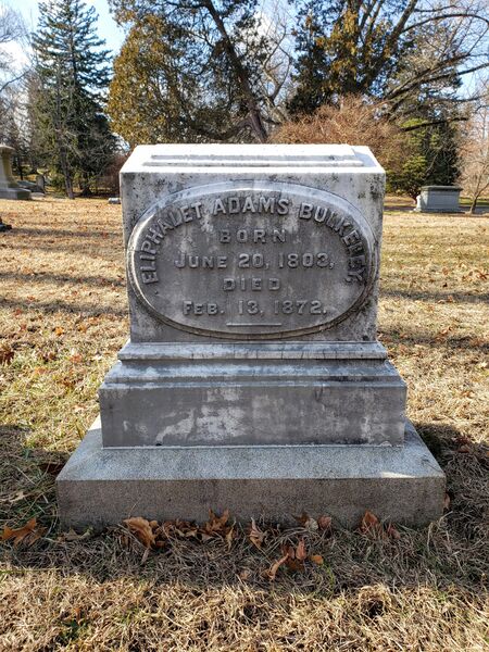 ملف:Eliphalet Adams Bulkeley gravestone.jpg