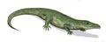 إعادة تطور التمساح الأولي، وهو جنس من الزواحف آكلة اللحوم التي تشبه التمساح والتي كانت موجودة في أوائل العصر الثلاثي