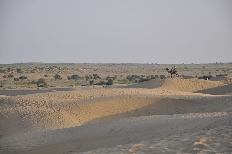 ملف:Thar desert 1.JPG