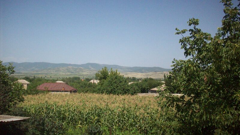 ملف:Duzagrama trees,corns.jpg