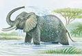 الفيلة تحب الماء وتستحم عادة في مياه البحيرات والأنهار وهي تجيد السباحة بشكل ممتاز. تستحم الفيلة برش الماء من خراطيمها.