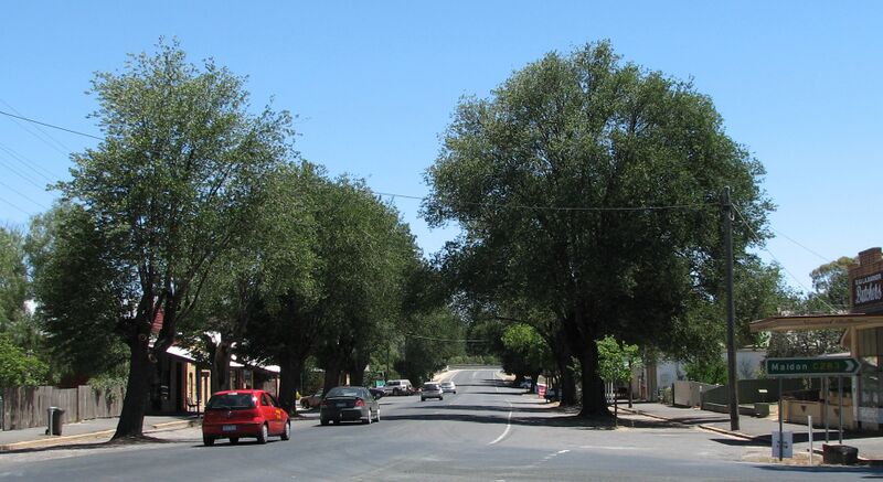 ملف:Newstead Lyons Street.jpg