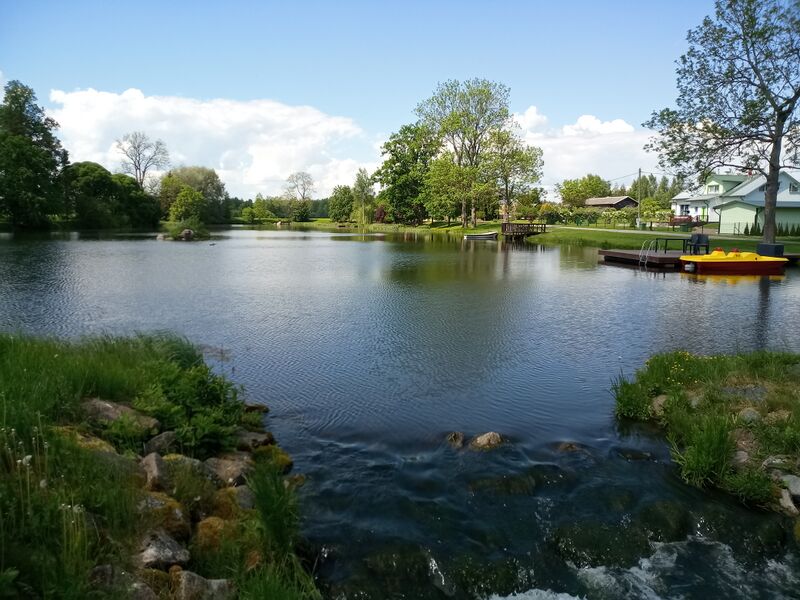 ملف:Paisjärv Umbusi ojal Lustiveres.jpg