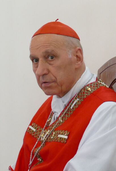 ملف:Severino Poletto, 2015.jpg