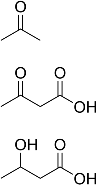 ملف:Ketone bodies.png